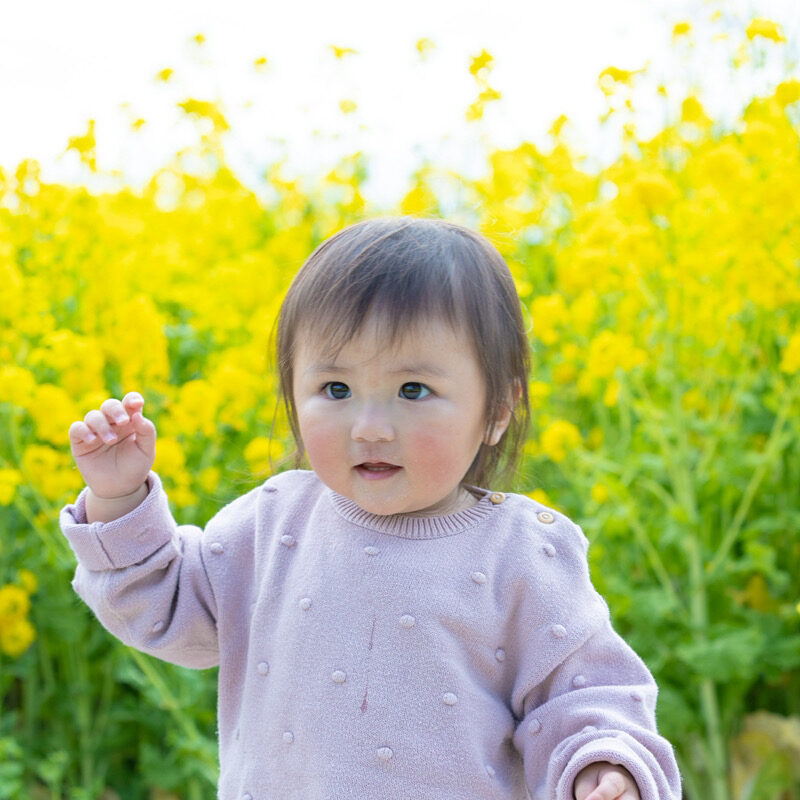 菜の花と女の子